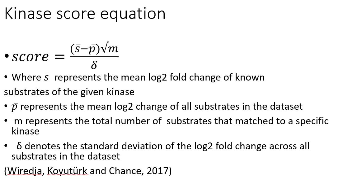 Kinase score equation