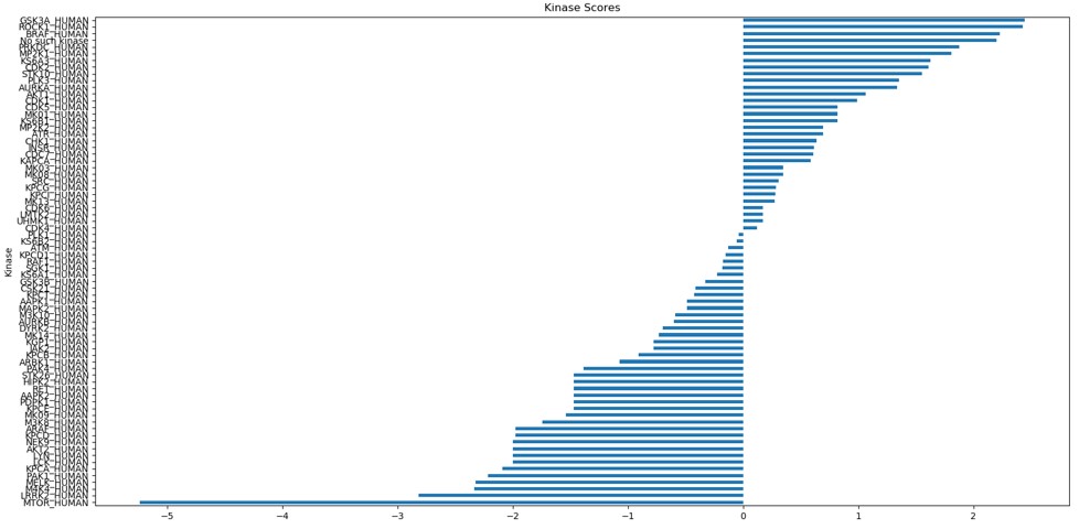 kinase score plot